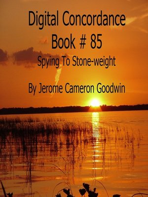cover image of Spying to Stone-weight--Digital Concordance Book 85